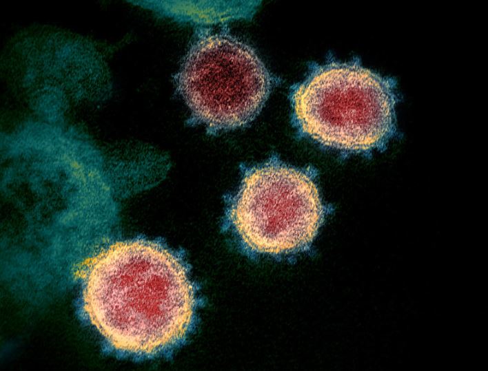 Што знаеме за новата мутација на коронавирусот и дали вакцините ќе дејствуваат против неа?