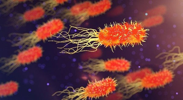 Ново откритие: И бактериите имаат биолошки часовник