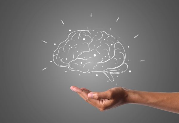 Постојат 5 различни типови мозок: Еве што вашиот тип кажува за вас