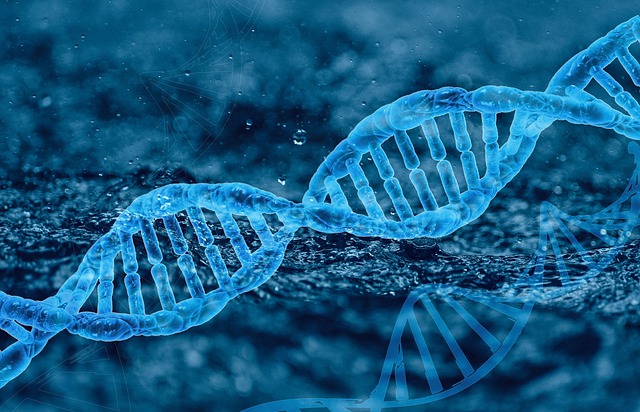 Германски истражувачи откриле ген кој го намалува ризикот од смрт од ковид-19