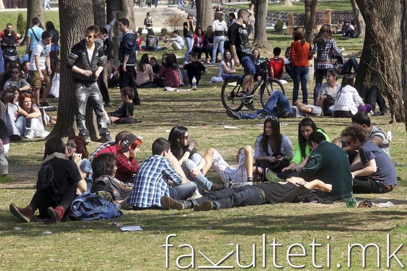 Препечен леб, пена во сок, напад од гаврани и оси во парк... Какви необични претставки добива Агенцијата за храна и ветеринарство?