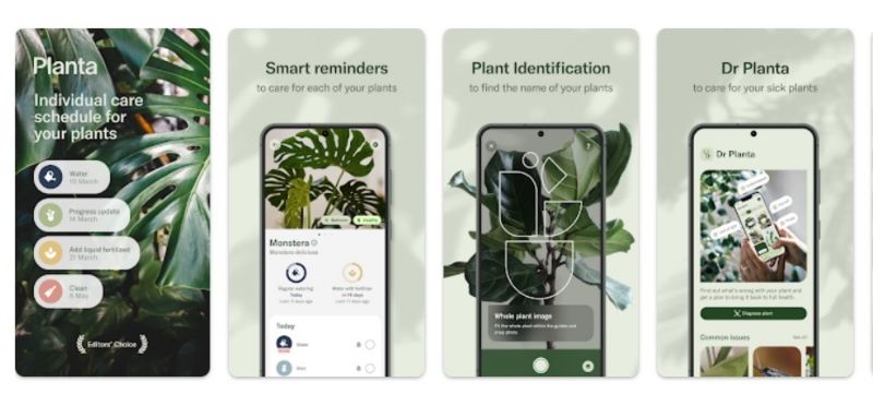 „Планта“ - апликација која помага при нега на собни и други видови растенија