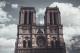 Дамата од Париз - историјата на катедралата Нотр Дам