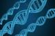 ЕУ и САД ќе започнат со генска терапија?