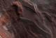 Камерата на НАСА „улови“ лавина на Марс