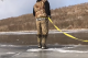 Видео што ја враќа вербата во човештвото - човек спасува елен на замрзнато езеро