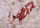 Во Индонезија откриен најстариот пештерски цртеж на лов