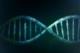 Научници реконструирале геном на жена од „гума за џвакање“ стара 5.000 години
