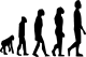 Дали она што го знаеме за еволуцијата е погрешно?