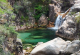 Национален парк во Португалија во кој слободно шетаат диви понија