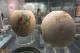 Загатка за археолозите - пронашле украсени јајца стари речиси 2.500 години