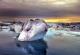 За 20 години глечерите во Исланд се намалиле за 800 квадратни километри