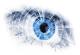 Научнците развија вештачко око што се однесува и изгледа како вистинско