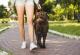 Во Германија се воведува законска обврска за шетање кучиња 2 часа на ден