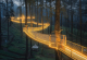 Магично осветлен мост за набљудување орхидеи во шума во Индонезија