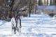 Жителите на град во Финска возат велосипед дури и на снег