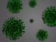 Зошто токму сега почнаа да се појавуваат нови соеви на коронавирусот?