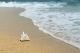 Италија казнила туристи - украле 100 кг песок, школки и камчиња од плажите