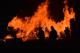 „Гринпис“: Во шумските пожари во Русија годинава изгорела површина колку половина Германија