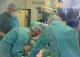 Донирани органи од младо момче со мозочна смрт - пресадени двата бубрега, експлантирани коскени ткива