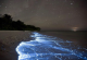 Редок природен феномен што ги воодушеви туристите: Оваа плажа на Малдивите свети во мрак