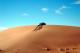 Најмалата пустина во светот е широка само 600 метри