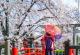 Јапонски тајни што ќе ви го променат животот