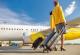 „Нетфликс“ вработува стјуардеса и нуди плата од 30.000 евра месечно
