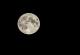 Месечината може да добие сопствена временска зона, иако времето таму функционира сосема поинаку