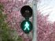 Германски град воведува постојано зелено светло на семафорите