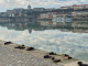 Железните чевли на брегот на Дунав - сеќавање на страшните приказни од историјата