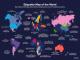 Интересна мапа открива различни бонтон-правила во светот