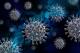 Научниците откриле нови вируси кај глодачите - некои предизвикуваат рак