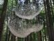 Џиновска инсталација во вид на лустер собира дождовница во шума во Италија