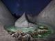 Фотограф открил неверојатен глечер скриен на Хималаите