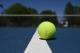 Тениското топче е жолто благодарение на Дејвид Атенборо