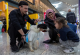 Специјално обучени кучиња ги смируваат патниците на аеродром во Истанбул