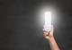 Експертите предупредуваат: Ноќните светилки се опасни за луѓето и за животните